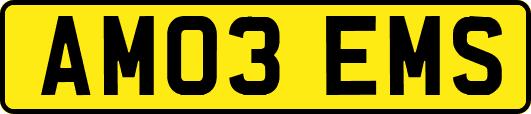 AM03EMS