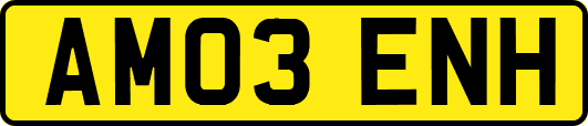 AM03ENH