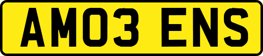 AM03ENS