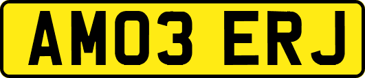 AM03ERJ