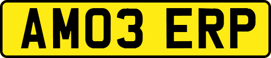 AM03ERP
