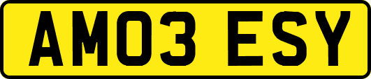AM03ESY