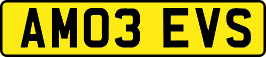 AM03EVS