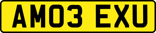 AM03EXU