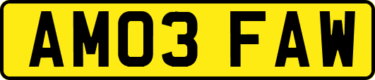 AM03FAW