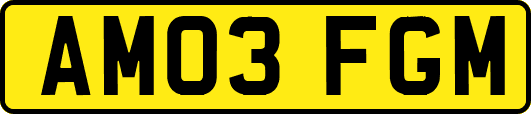 AM03FGM