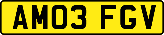 AM03FGV