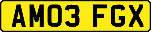 AM03FGX