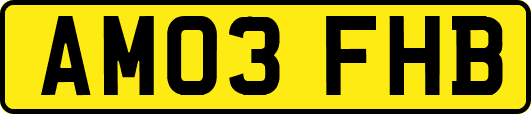 AM03FHB