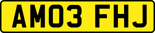 AM03FHJ
