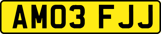 AM03FJJ