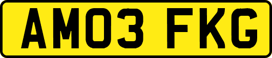 AM03FKG