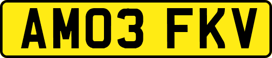 AM03FKV