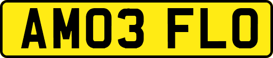 AM03FLO