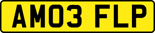 AM03FLP