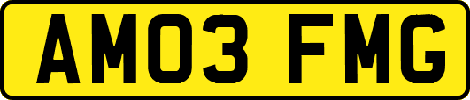 AM03FMG