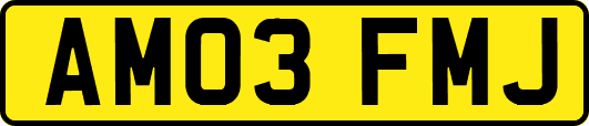 AM03FMJ