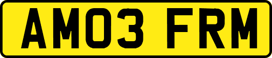 AM03FRM