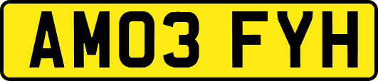 AM03FYH