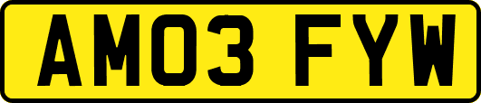 AM03FYW