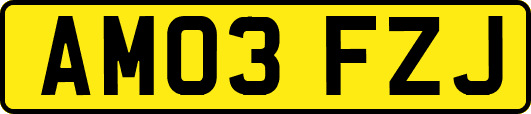 AM03FZJ