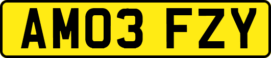 AM03FZY