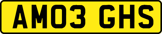 AM03GHS