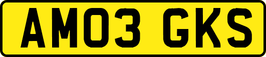 AM03GKS