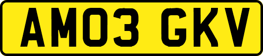 AM03GKV