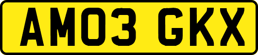 AM03GKX