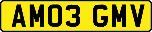AM03GMV