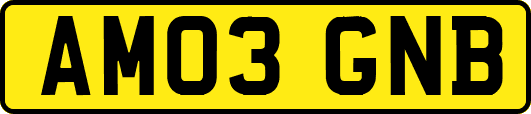 AM03GNB