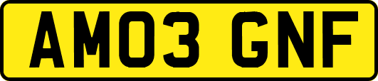 AM03GNF