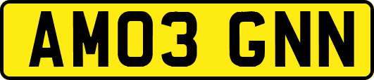 AM03GNN