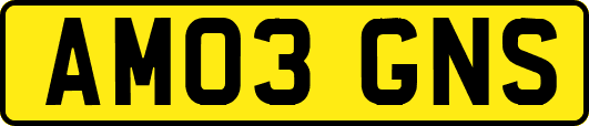 AM03GNS