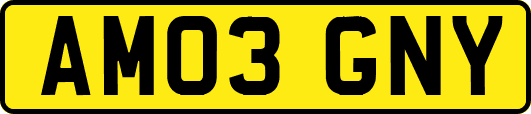 AM03GNY
