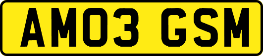 AM03GSM