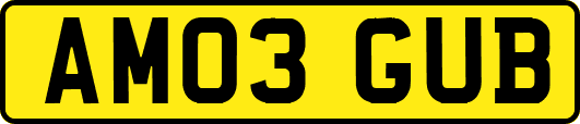AM03GUB