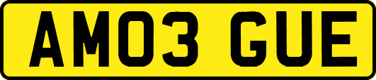 AM03GUE