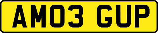 AM03GUP