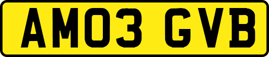 AM03GVB