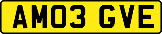 AM03GVE
