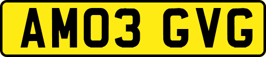 AM03GVG