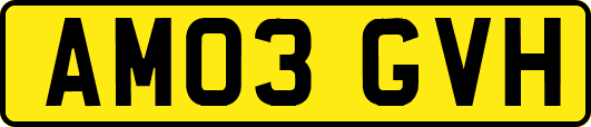 AM03GVH