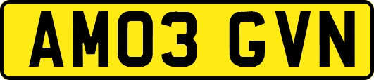AM03GVN