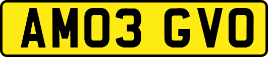 AM03GVO