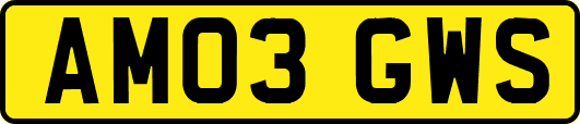 AM03GWS