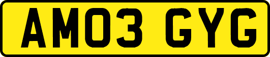 AM03GYG