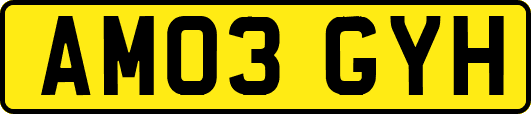 AM03GYH
