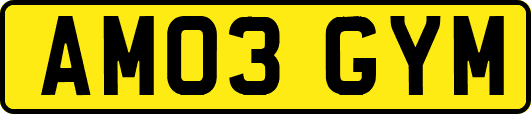 AM03GYM